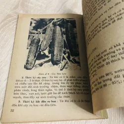 KỸ THUẬT TRỒNG MỘT SỐ RAU ĐẬU XUẤT KHẨU  956858