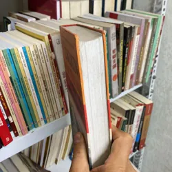 Đi ô sin nỗi đau nhân loại lương chi và hành động sách bìa cứng 712566