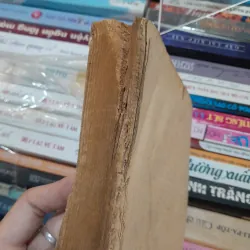 NGƯỜI ĐÀN BÀ TRONG TƯỚNG MỆNH HỌC - VŨ TÀI LỤC  760812