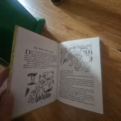 Brer rabbit's a rascal (bìa cứng) Giá 30k  603953