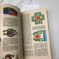 "Ради жизни на Земле" (Dịch nghĩa: "Vì sự sống trên Trái Đất"). 602387
