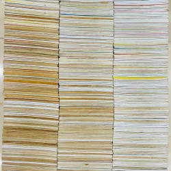 Trạng quỷnh lô 120 tập không trùng 926661