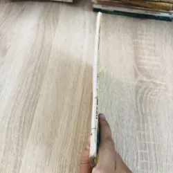 THÁI SẮC MIỆT VƯỜN THƠ 929084