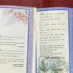 Friendship - Tình Bạn 1027458