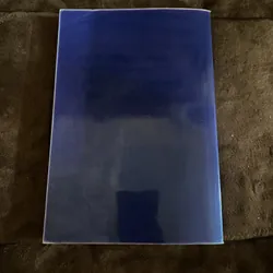 Du già bồ tát giới, Tuệ Sỹ 601328