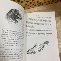 Cá Hồi - Ahn Do-hyun 1010699