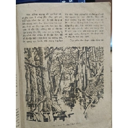 Đến với rừng - Nhiều tác giả 776236