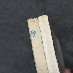 Thắm sắc hoa đào - Vương An Ức (tác giả Trường hận ca) 791194