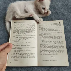 CHUYỆN CỦA CHÚNG MÌNH - ĐỖ THANH VÂN 567771
