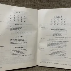 Tồng tập văn học Việt Nam tập- văn học trung đại thời Trần, Hồ  968628