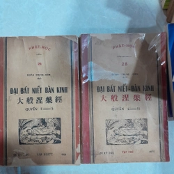 ĐẠI BÁT NIẾT BÀN KINH - ĐOÀN TRUNG CÒN