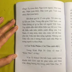 Con Trâu và Cái Tâm (Bí Lục Theo Trâu) - HT Đắc Huyền - Thích Như Phước Tú 630515