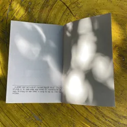 TỪ ĐÚNG & TỪ SAI RIGHT WORD WRONG- THY HẢI 696129