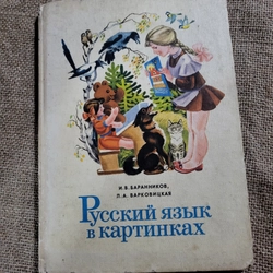 И.В. БАРАННиков, Л.А. ВАРКОВИЦКАЯ

Русский язык в картинках 283593