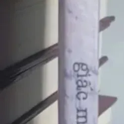 Giấc Mơ Hoa Súng Tím 736830