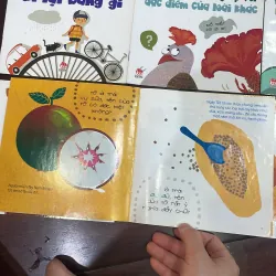 Bộ sách lạ mà quen , quen mà lạ về con vật , đồ vật trái cây phương tiện xung quanh bé  1047536
