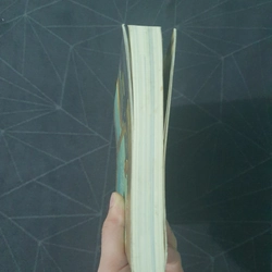 "Con đường Hồi giáo" - Nguyễn Phương Mai 475597