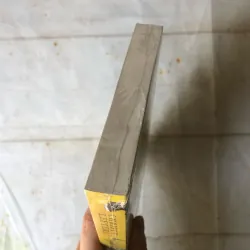 Người Nuôi Ong Thành Aleppo - Christy Lefteri 756699