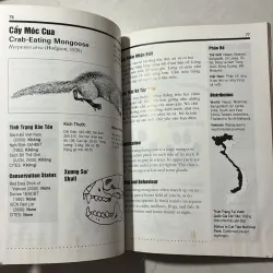 Số tay ngoại nghiệp nhận diện các loài thú của vườn quốc gia Cát Tiên 791691