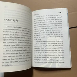 Chuyện con mèo dạy hải âu bay 603115