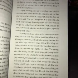 Bị thiêu sống -Souad 1022540