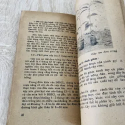 TRỒNG CA CAO Ở ĐỒNG BẰNG SÔNG CỬU LONG  956951