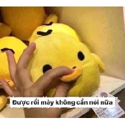 Áo vịt vàng