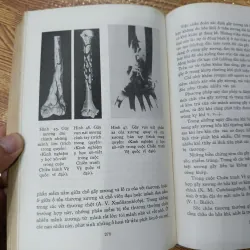 Ngoại khoa dã chiến 1009417