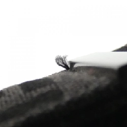 Fendi 8BR000 019 Túi - Hàng hiệu Chính hãng 803532