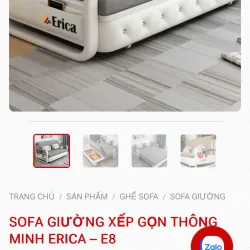 Giường Sofa chính hãng Erica (mới 99%) 708658