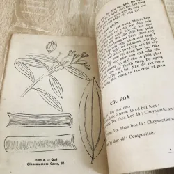 TRỒNG CÂY DƯỢC THẢO (T2) 960253