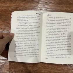 Mèo mặt nhọ 2 (12) 1024242