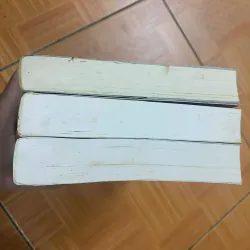 Pháp Y Tần Minh: Người Sống Sót + Kẻ Nhìn Trộm + Kẻ Dọn Rác 738987