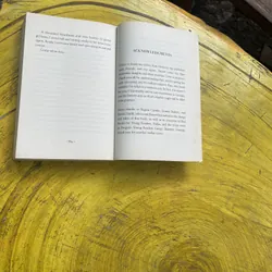 SWITCH- INGRID LAW 596105