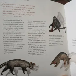 THE 2007 COLLECTION OF SINGAPORE STAMPS (BỘ SƯU TẬP TEM NĂM 2007 CỦA SINGAPORE) 752630