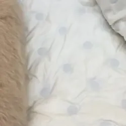 Áo lông bigsize 755540