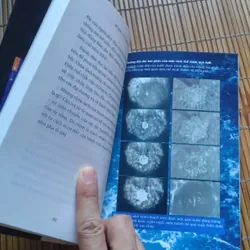 Bí mật của nước - Masaru Emoto 558924