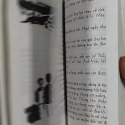 Hạt Chò Chỉ - Lê Minh 798479