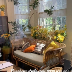 Băng ghế sofa mây xòe 443185
