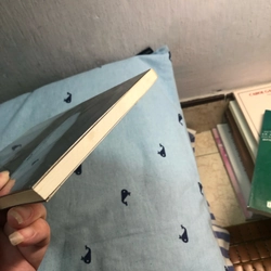 Đốt cỏ ngày đồng - Đoàn Minh Phượng 327150