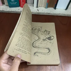 II Sách Xưa: Người Bạn Mang Bộ Lông Chim - Nhiều Tác Giả - 1986 605997