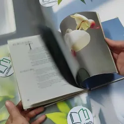 Ý Hoa ( Song Ngữ) - Hồ Anh Thái 750833