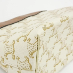 Celine 10C762DJP Túi đựng 623110