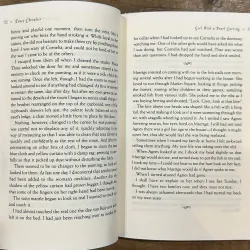 Girl with a Pearl Earring - Tracy Chevalier 731285