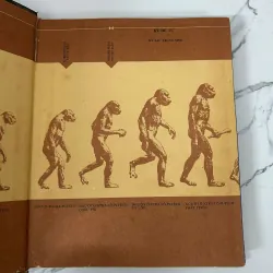 Con người trở thành khổng lồ - M. I-lin và E. Xê-gan 781189