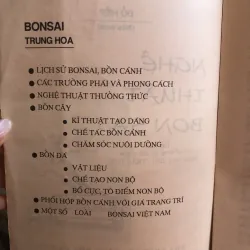 Bonsai - Cây dáng, thế và non bộ - Đỗ Hiệp  1032663