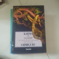 Nghiệp chỉ dẫn kiến tạo vận mệnh của một yogi