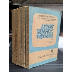 Lịch sử văn học việt nam - nhiều tác giả