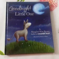 Goodnight Little One