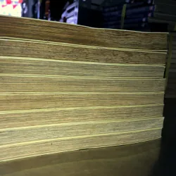 Hồi ức vàng - Shigeru Takao 973750